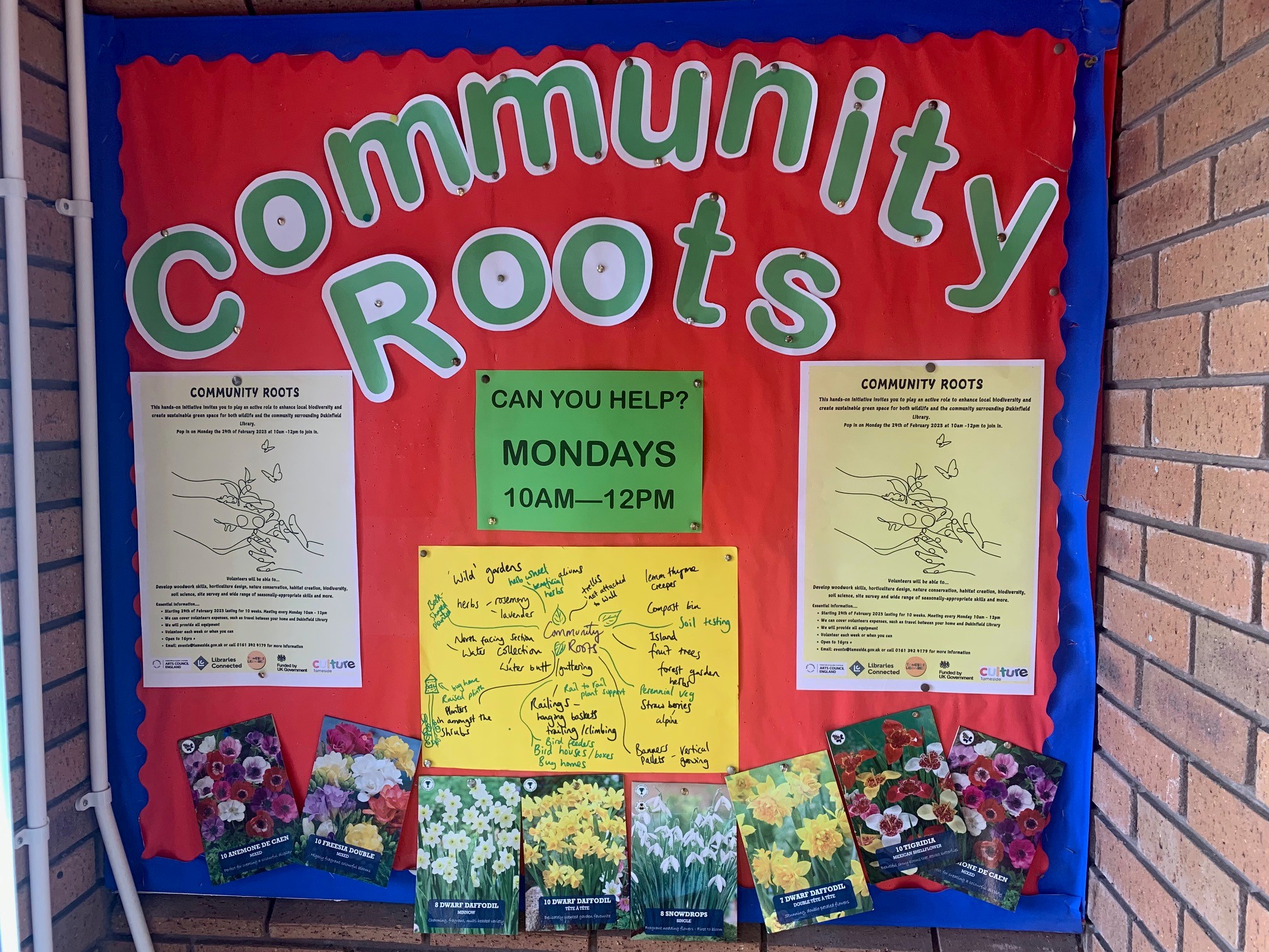 Community Roots display board at Dukinfield Library