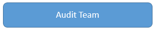 Audit Team