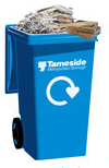 Blue Bin