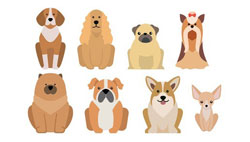 Performance Animals