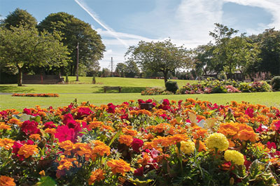 Parks and Countryside
