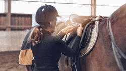 Riding Establishments