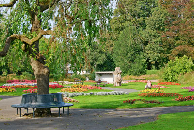 Trees