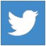 Twitter Icon