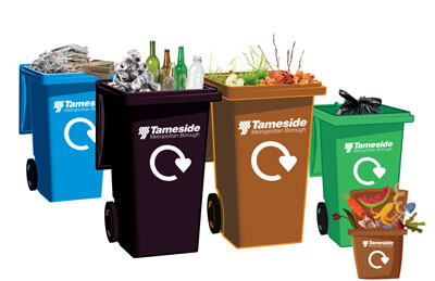 Which Bin do I put it in?