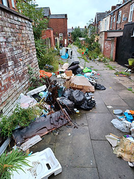 Dumping waste in an alleyway